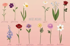 Birth Flowers|12 PNG Birthday Month Flower illustrations Product Image 2