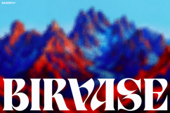 Birvase Display Font Product Image 1