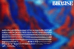 Birvase Display Font Product Image 11