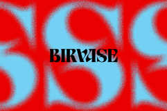 Birvase Display Font Product Image 12