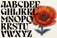 Birvase Display Font Product Image 2