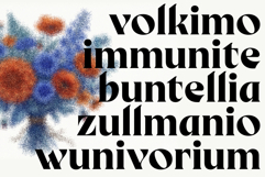 Birvase Display Font Product Image 4