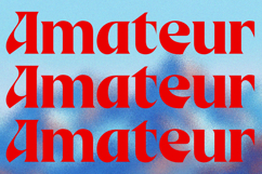 Birvase Display Font Product Image 5