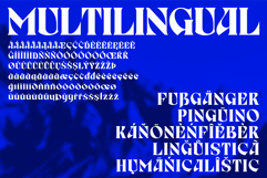 Birvase Display Font Product Image 6