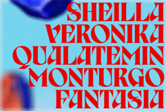 Birvase Display Font Product Image 7