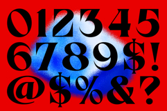 Birvase Display Font Product Image 8