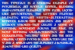 Birvase Display Font Product Image 9