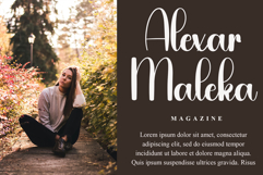 Biscuit Christmas Product Image 2