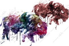 Buffalo Watercolor Sublimation Clipart PNG JPG Product Image 1