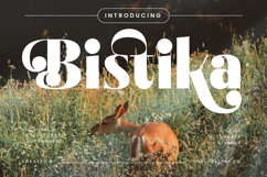 Bistika - Serif Alternate Display Product Image 1
