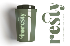 Bistika - Serif Alternate Display Product Image 2