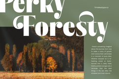 Bistika - Serif Alternate Display Product Image 7