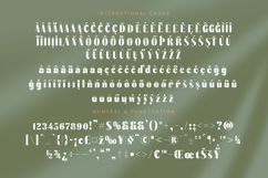 Bistika - Serif Alternate Display Product Image 18