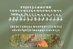 Bistika - Serif Alternate Display Product Image 19