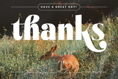 Bistika - Serif Alternate Display Product Image 20