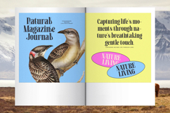 Bistoric Historic - Modern Vintage Serif Product Image 14