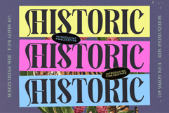 Bistoric Historic - Modern Vintage Serif Product Image 20