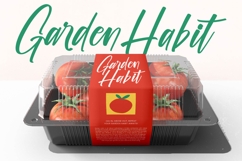 Biteful Market - Modern Brush Font Product Image 3