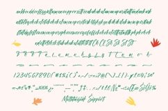 Biteful Market - Modern Brush Font Product Image 19