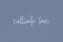 Bitte Script Product Image 8