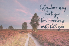 Bitte Script Product Image 9