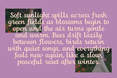 BLANCHE Vintage Cursive Script Font Product Image 4