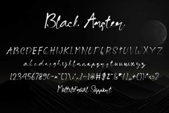 Black Amster Product Image 5