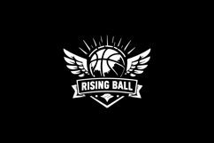 Black and White Rising Ball Wings Logo Design Product Image 1