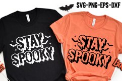 Stay Spooky SVG, Trendy Halloween Woman Shirt, Spooky Season Product Image 2