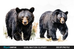 Watercolor Black Bear Illustration Clipart Product Image 1