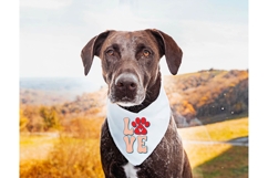 Love Dog Svg, Dog Lover Svg Product Image 1
