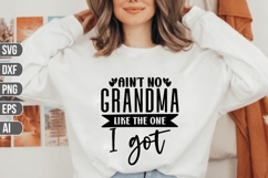 Ain&#039;t No Grandma Like the One I got Svg, Family Svg Product Image 1