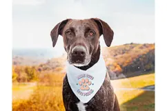 More Dogs Less People Svg, Dog Lover Svg Product Image 1