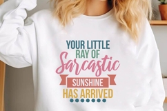 Sarcastic Svg Designs Bundle, Funny Sarcastic Svgs Designs Product Image 7