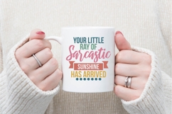 Your Little Ray of Sarcastic Sunshine Has Arrived Svg Product Image 3