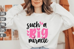 Pregnancy Svg Bundle, Pregnant Woman Svg, Mom Life Svg Product Image 6