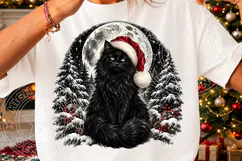 Black Cat Christmas PNG | Santa Hat Moonlit Winter Wonderlan Product Image 3