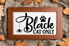 Black Cat Only Sign SVG, Farmhouse Halloween Sign Product Image 3