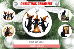 Ornament Black Cat Product Image 1