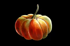 Pumpkin clipart | PNG for sublmation Product Image 3