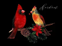 Watercolor Christmas clipart with cardinal birds. Product Image 4