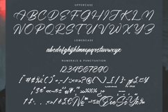 Black Fatal - Brush Calligraphy Font Product Image 18