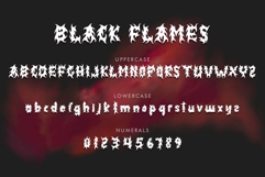 Black Flames Product Image 5