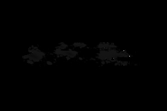 Black hand painted grunge texture brush design Product Image 2