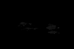 Black hand painted grunge texture brush element Product Image 2