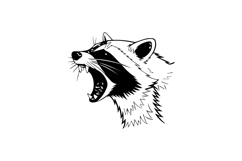 Black illustration drawing head animal raccoon design Product Image 1