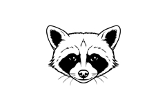 Black illustration drawing head animal raccoon graphic Product Image 1