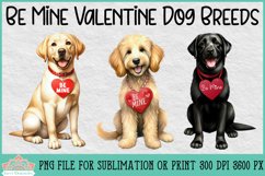 Be Mine Valentine Dog Breeds | Sublimation Clipart Product Image 1
