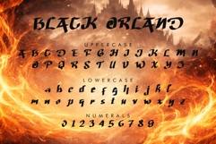 Black Orland Product Image 4