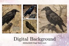 Black Raven Crow Halloween Background Wallpaper Backdrop_13 Product Image 1